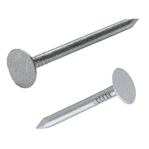 Galvanised Clout Nails