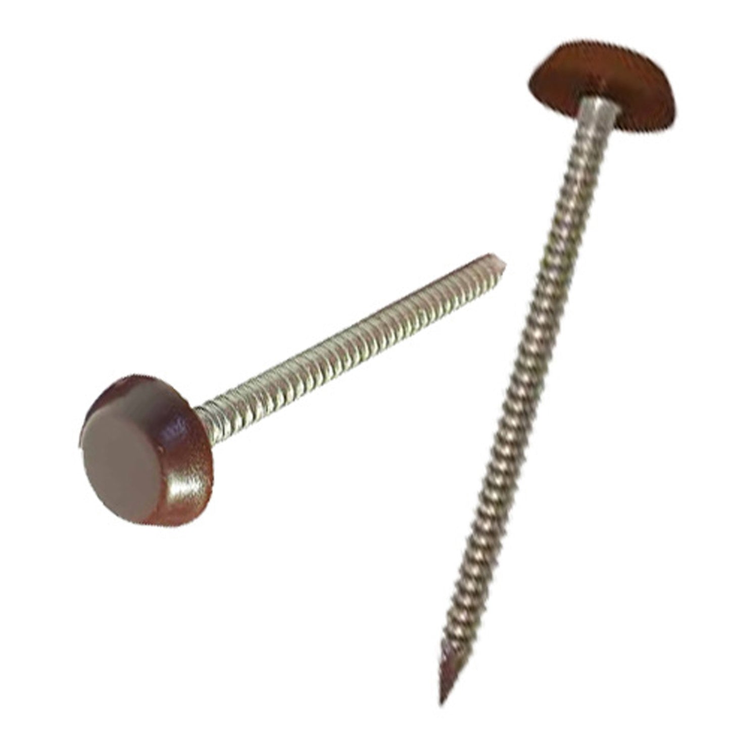 Polynails & Polypins