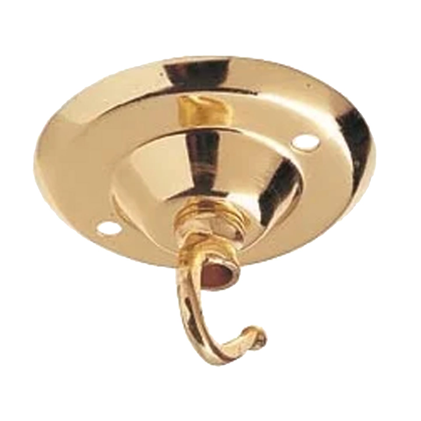 Ceiling Hooks