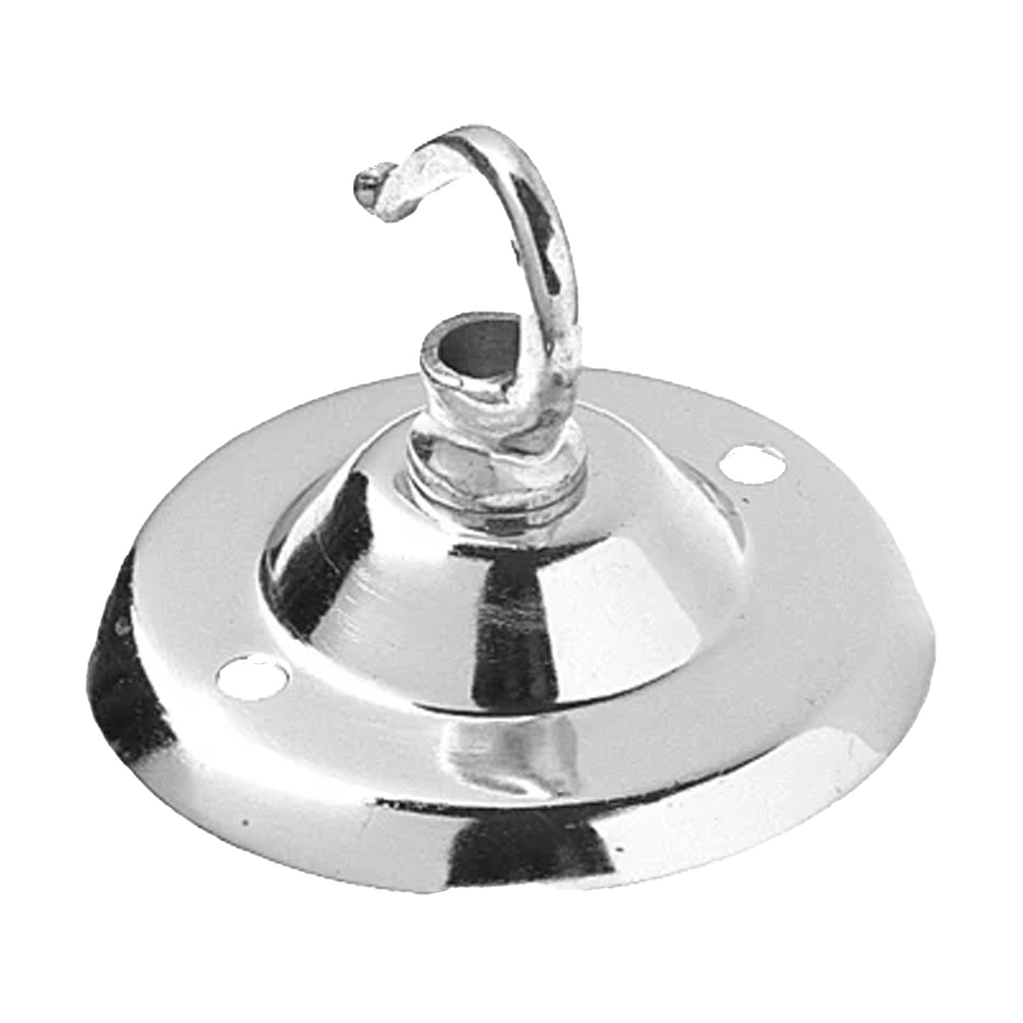 Ceiling Hooks