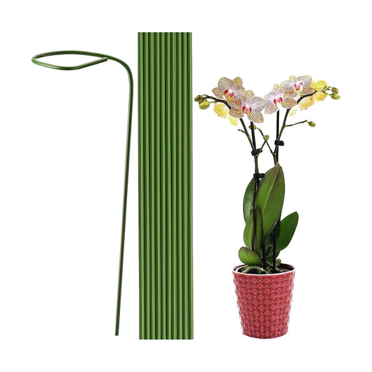Plant Sticks (600mm)